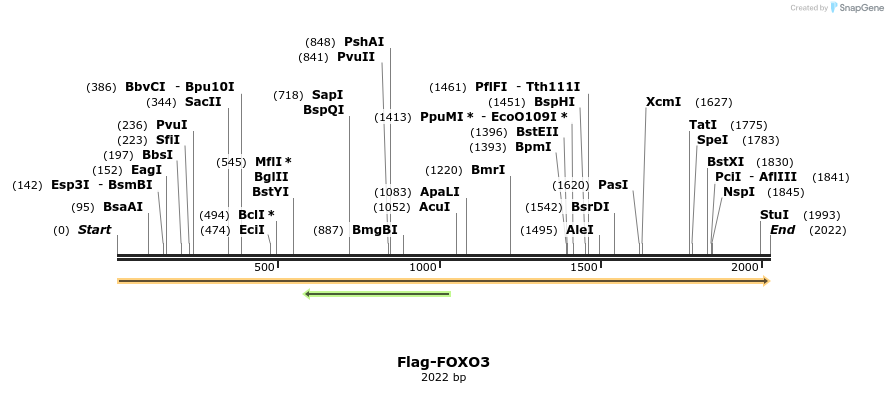 296344_map