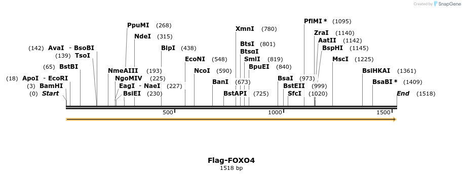 296346_map