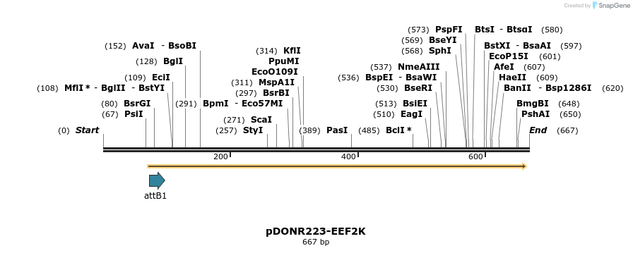 29635_map