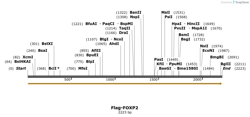 296352_map