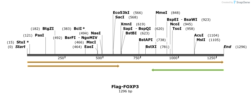 296354_map