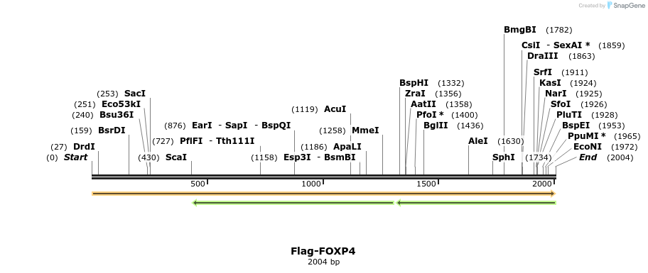 296356_map