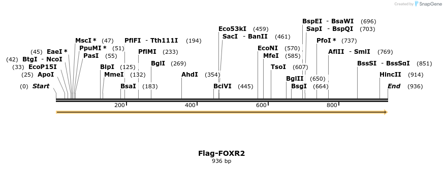 296362_map