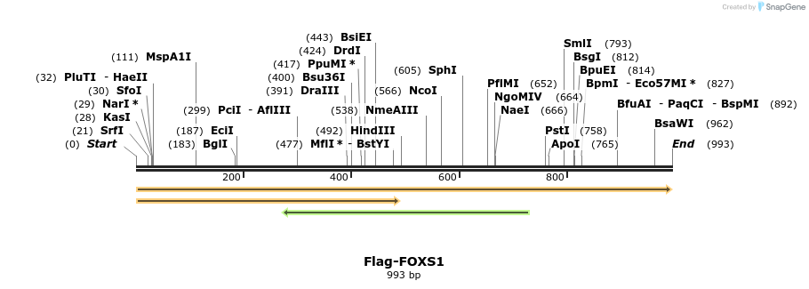 296364_map