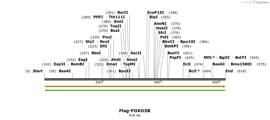 296366_map