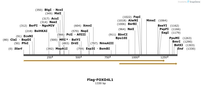 296368_map