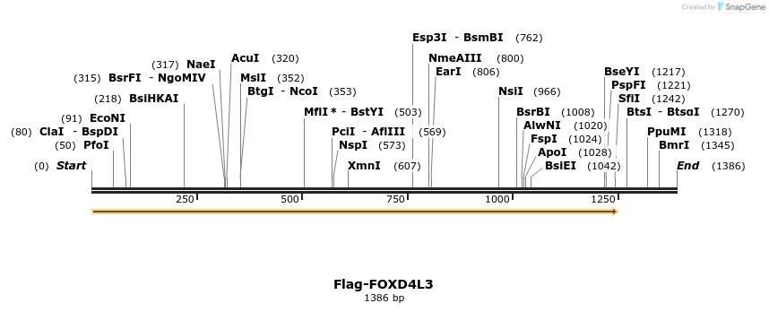 296370_map