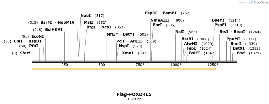 296372_map