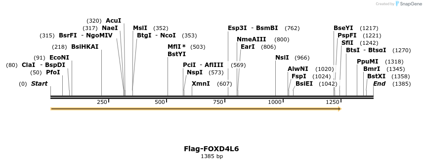 296374_map