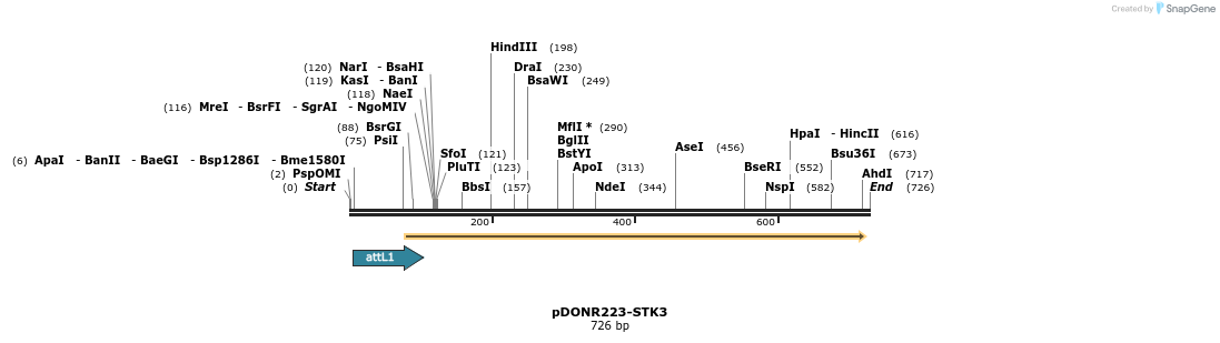 29638_map