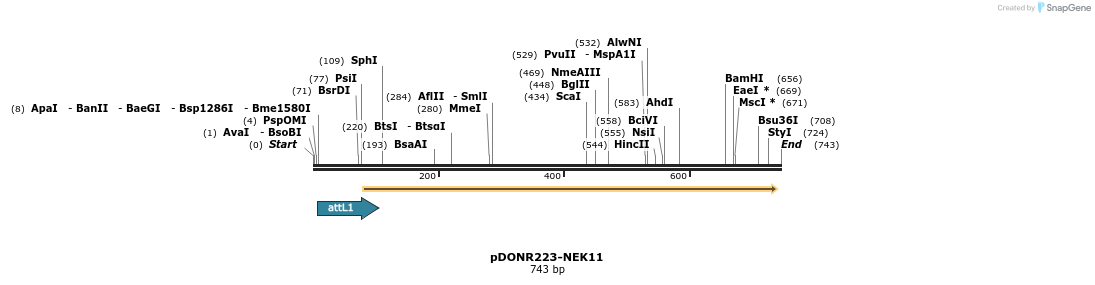29640_map