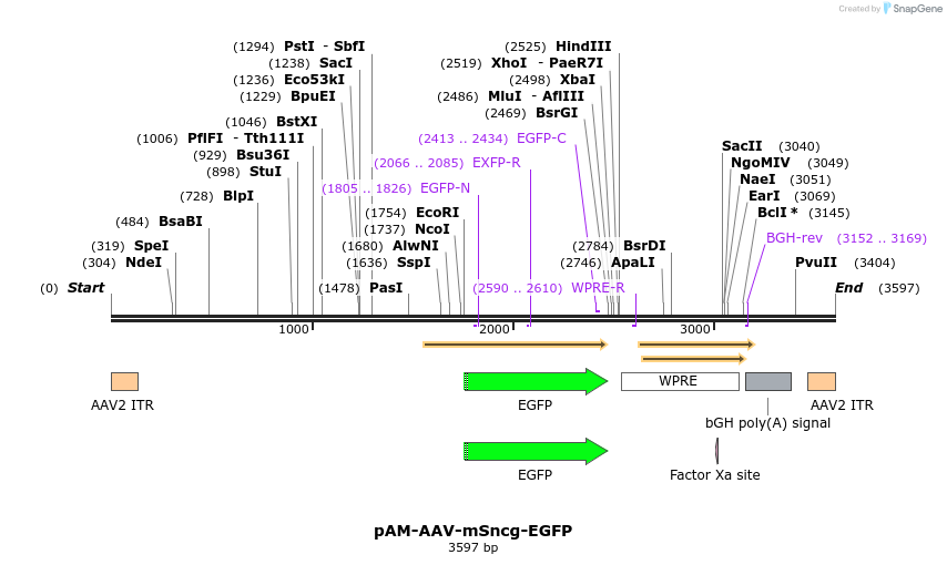 296412_map