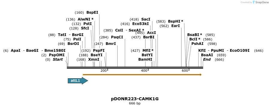 29643_map