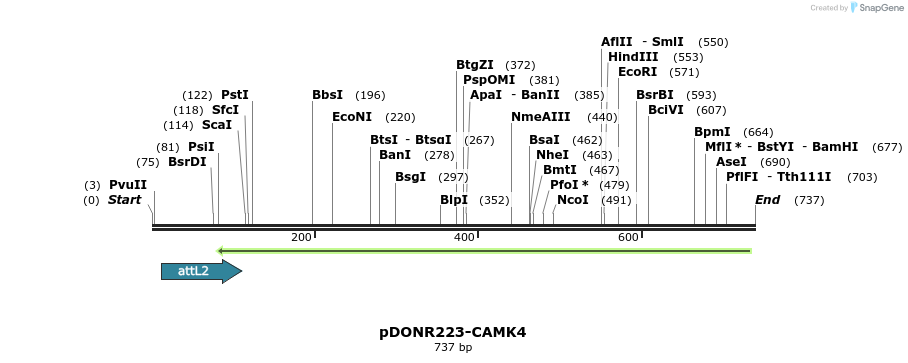 29644_map