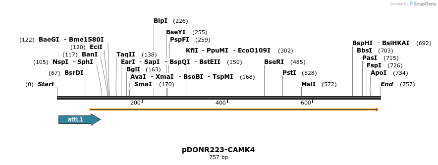 29645_map