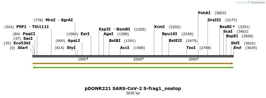 296451_map