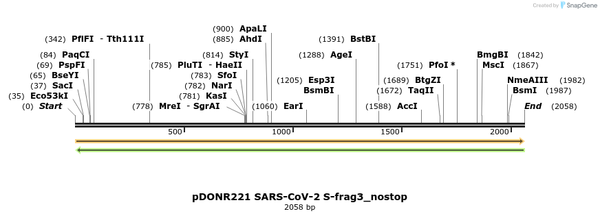 296453_map