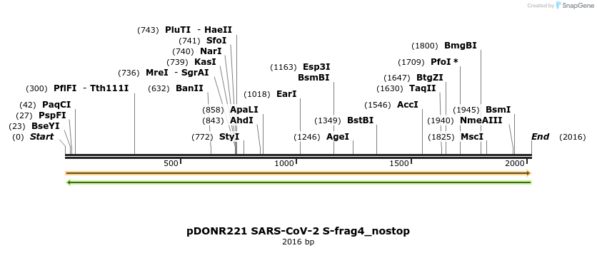 296454_map