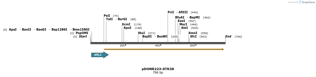29646_map