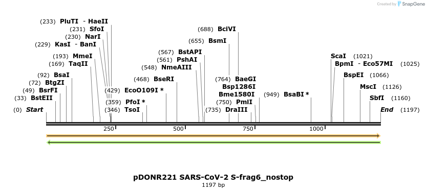 296462_map