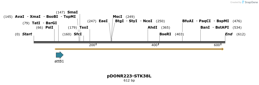29647_map