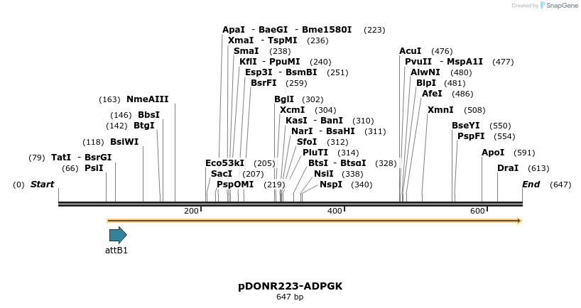 29648_map