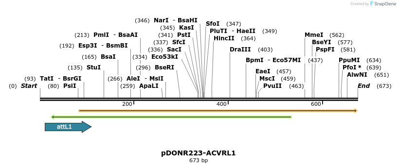 29649_map