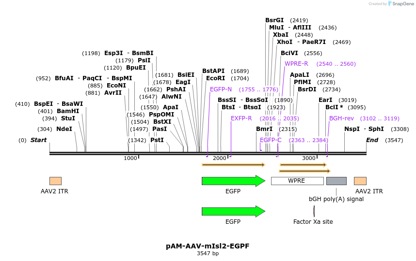 296498_map