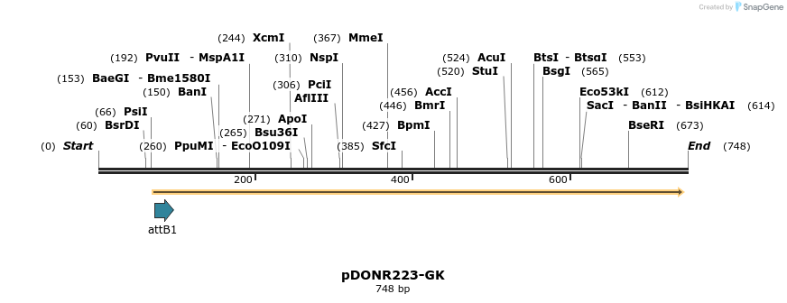 29650_map