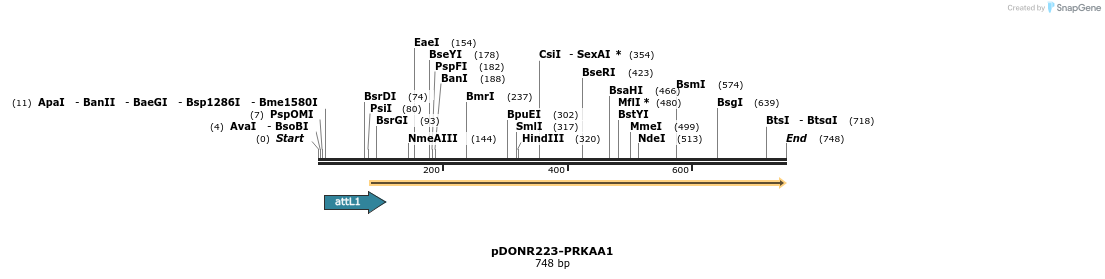 29651_map