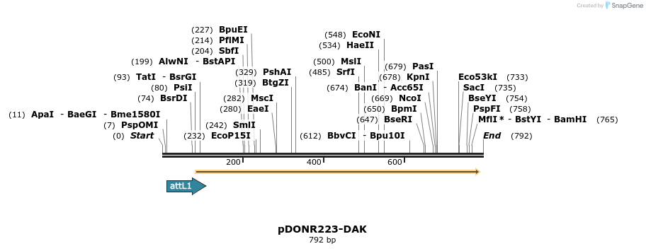 29652_map