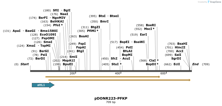 29653_map