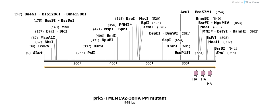 296535_map
