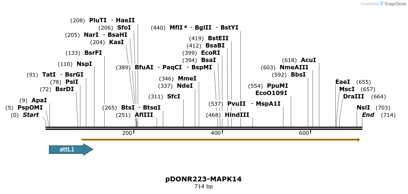 29657_map