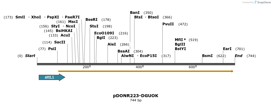29658_map