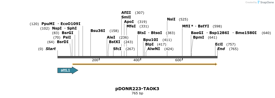 29661_map