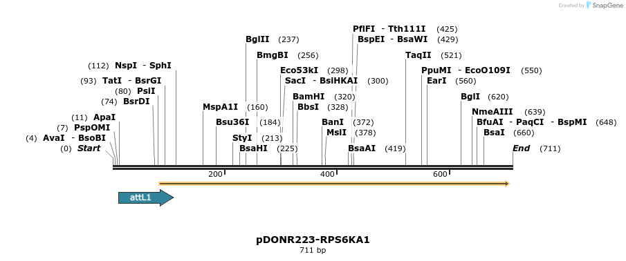 29662_map