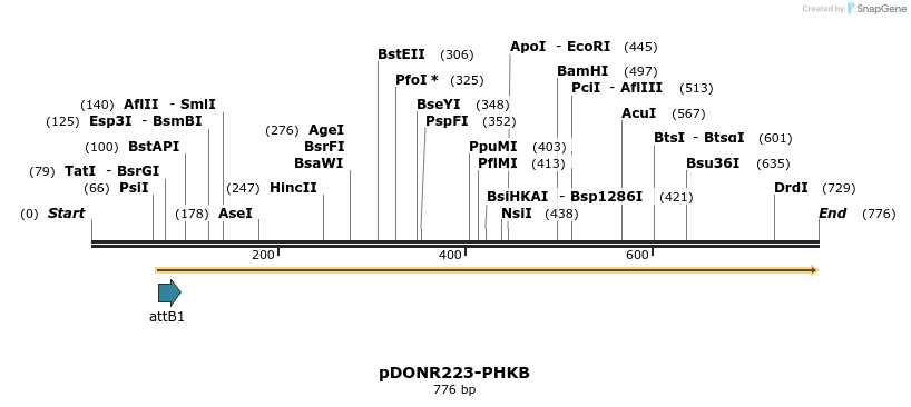 29663_map