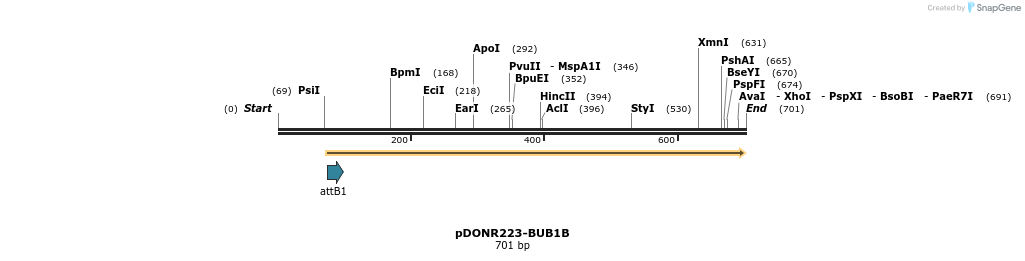 29664_map