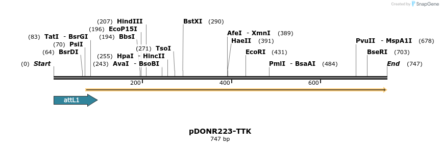 29665_map