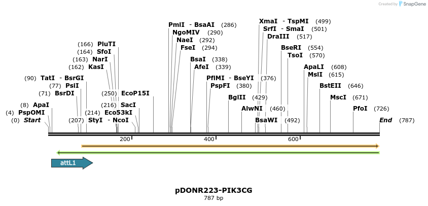 29666_map