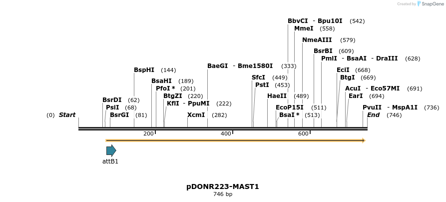 29667_map