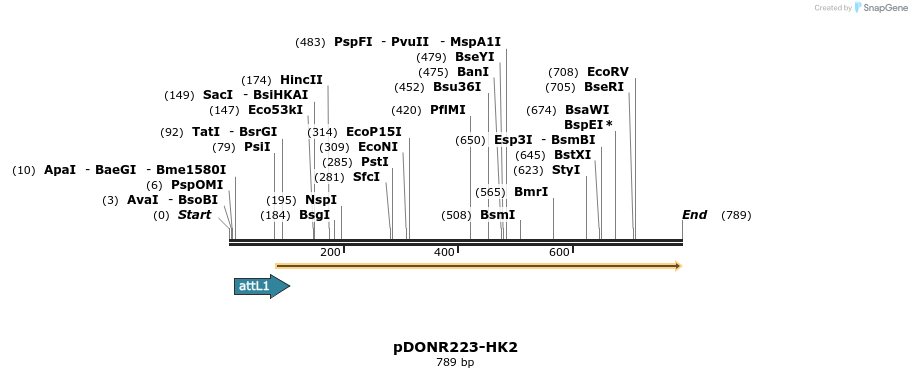 29668_map