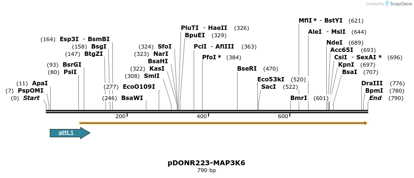 29669_map
