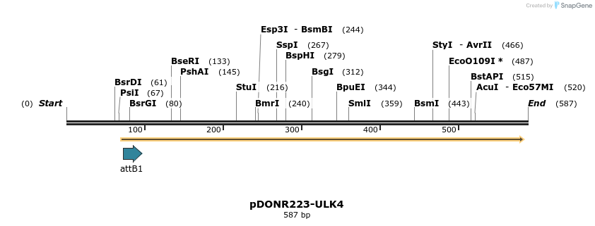 29673_map