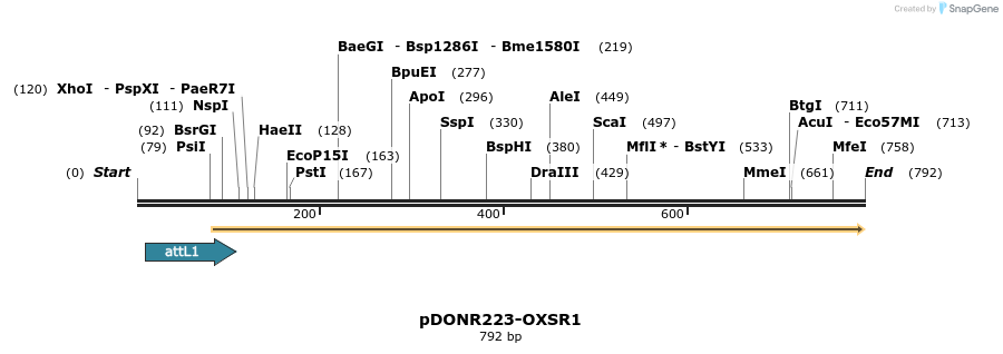 29675_map