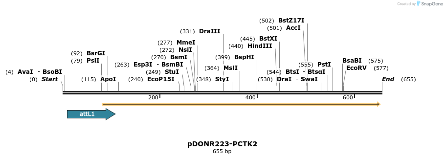 29677_map