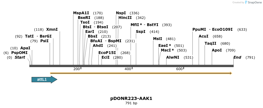 29678_map