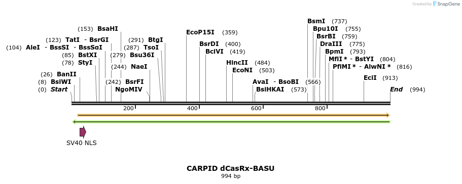 296796_map
