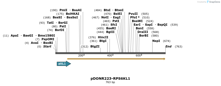 29680_map